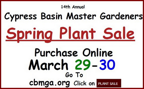 Plant Sale Flyer part