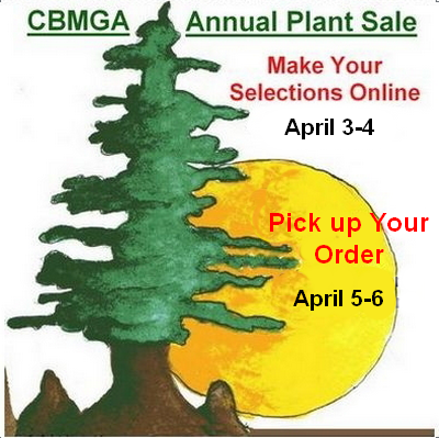 plant sale image